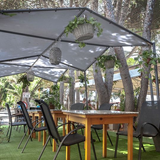 Camping Palm-Mar