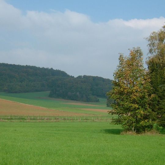 Brucherbierg
