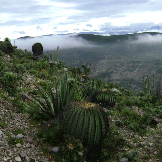 Riserva della biosfera di Tehuacán-Cuicatlán