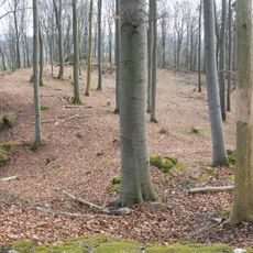 Abschnittsbefestigung in Simmelsdorf