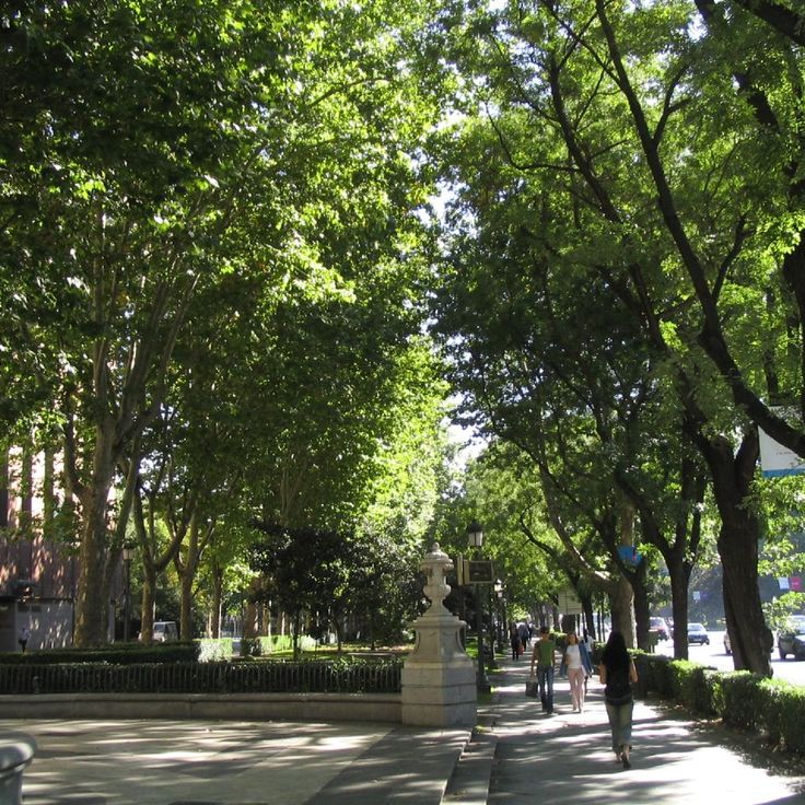 Paseo del Prado and Buen Retiro, a landscape of Arts and Sciences
