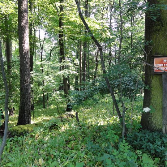 Skarpa Wiślicka Nature Reserve