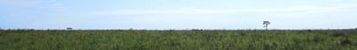 Panoramic View 1