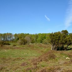 Düne am Rimmelsberg