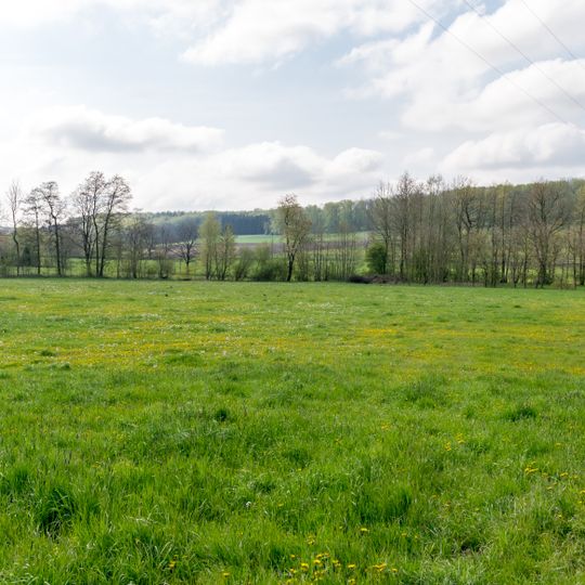 LSG-Strangbach/Buchholz