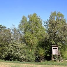 Brunnenstube bei den Igelstruter Wiesen Brühl