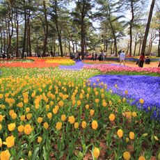 Hitachi Seaside Park