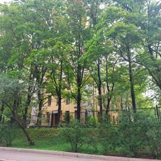 Корпус СВД