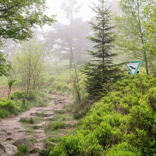 NSG Eggeosthang mit Lippischer Velmerstot