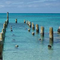 The Bahamas