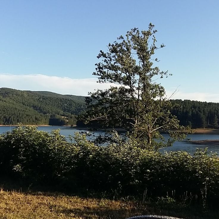 Lorica and Arvo Lake