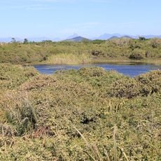 Restinga de Jurubatiba National Park
