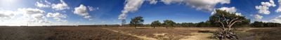 Panoramik Görünüm 0