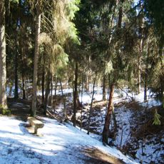 Nerėpa Entomological Reserve