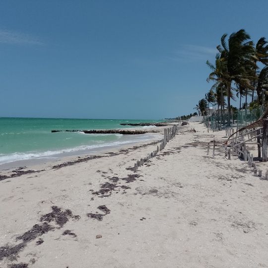 Playa Chuburna Puerto