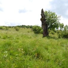 Naturschutzgebiet Ernstberg bei Sichenhausen
