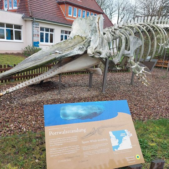 Nationalpark-Haus Wangerooge