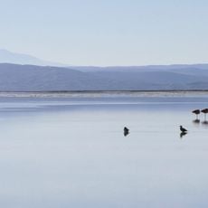Laguna Salada