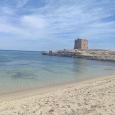 Dolphin Beach