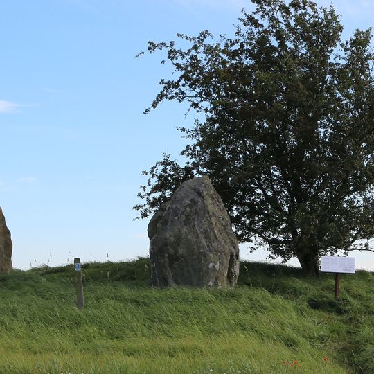 Tullehögen, Tullestenarna