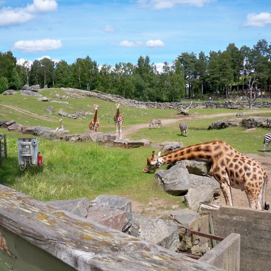 Borås djurpark