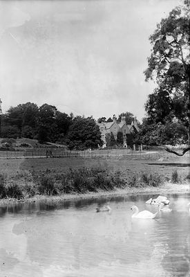 Alternatieve afbeelding