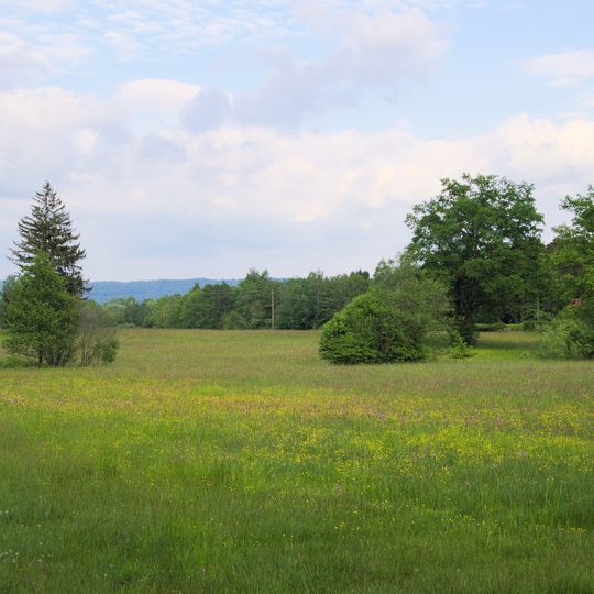 Naturschutzgebiet 'Seeholz und Seewiese'