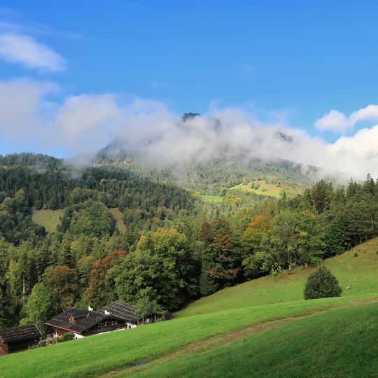 Schusterlehen, Zwiehof