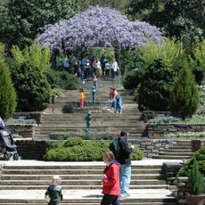 Sarah P. Duke Gardens