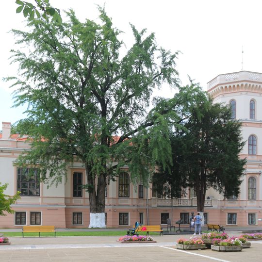 Nákó Mansion, Sânnicolau Mare