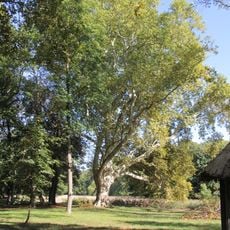 Schlosspark Schönau