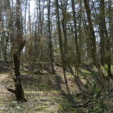 Ossenberg–Fehrenbusch