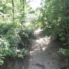 Possum Woods Conservation Area