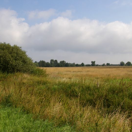 Wiesengebiet Neustädter Moor