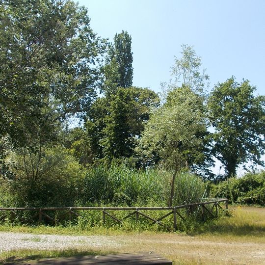 Riserva naturale della Palude di Casalbeltrame
