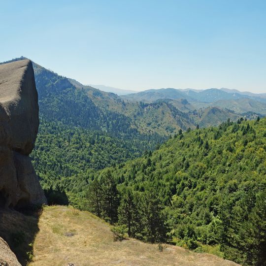 Fir of Drenovë-Sinicë Protected Landscape
