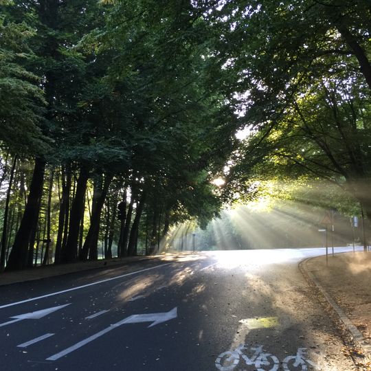 Bois de la Cambre - Ter Kamerenbos