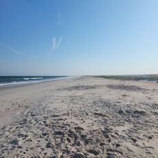 Masonboro Island Reserve