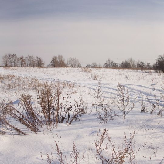 Wzgórze przy ulicy Ziębickiej