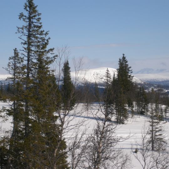 Svenskådalen Nature Reserve