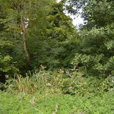 Alder Carr