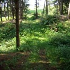 Burgstall Nößlbach