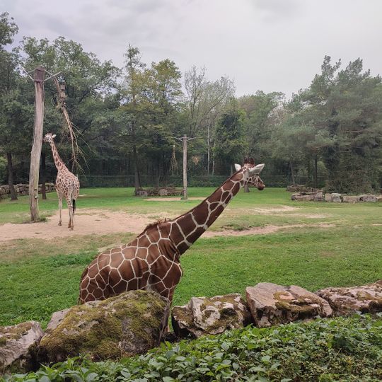 Tiergarten Am Tiergarten 6 in Nürnberg