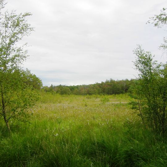 Ribnitzer Großes Moor