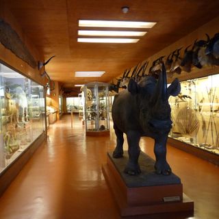 Musée africain de l'île d'Aix