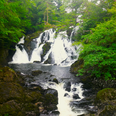 Swallow Falls