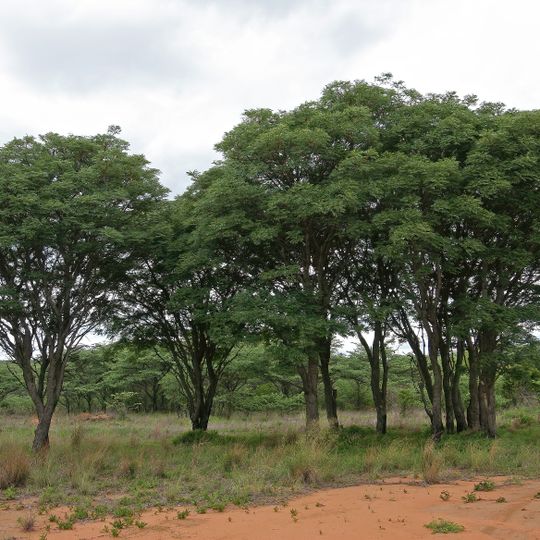 Bobbejaansberg Private Nature Reserve