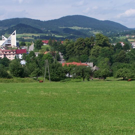 Kościół św. Mikołaja Biskupa w Skrzydlnej