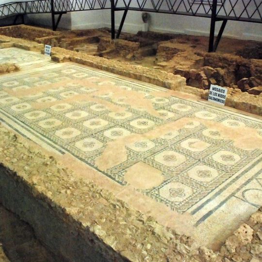 Habitación Nº 14 Mosaico Con Nudos de Salomón