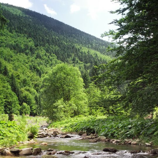 Beskides occidentales